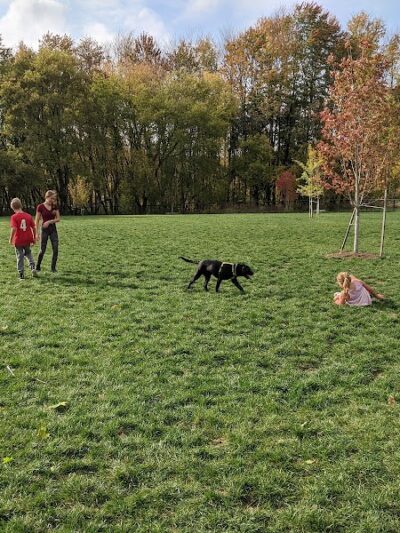 Caledonia Community Green Dog Park - Caledonia, MI