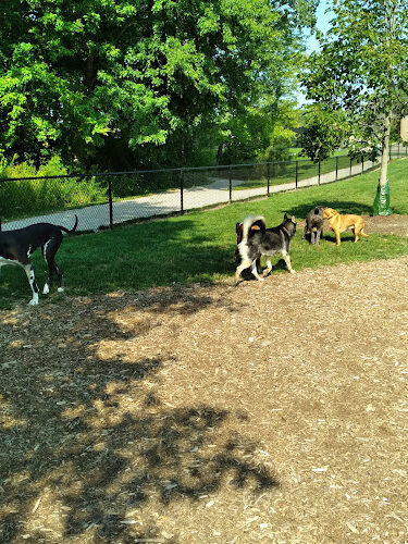 Caledonia Community Green Dog Park