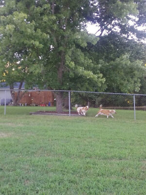 St. Andrews Estates Park