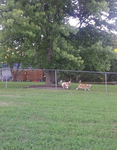 St. Andrews Estates Park