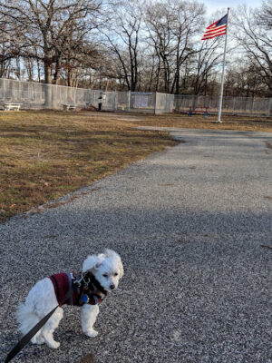 Isaac Dog Park