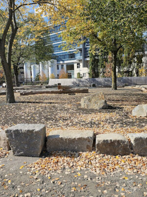Binney Street Dog Park