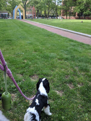 Charles Park