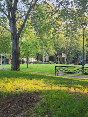 Dana Square Park