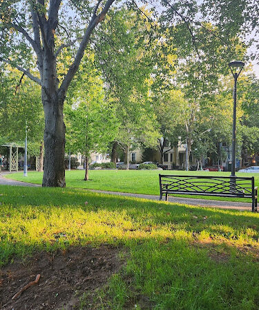 Dana Square Park