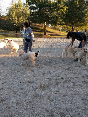 Danehy Dog Park