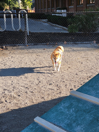 Dog Park at Toomey Park