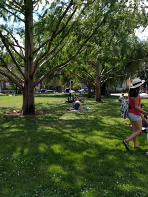 Joan Lorentz Park