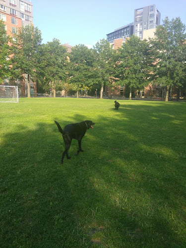 Tudor Dog Park
