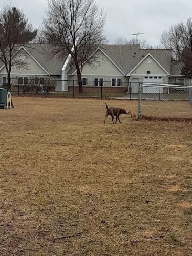 Cambridge Dog Park