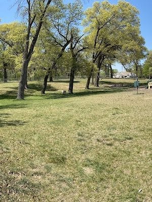 Cambridge Dog Park