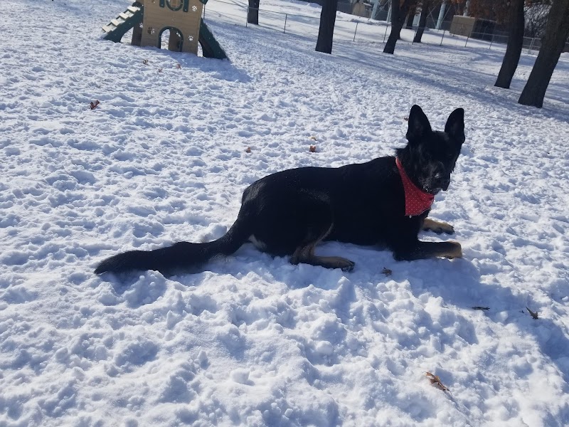 Cambridge Dog Park - Cambridge, MN