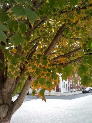 4th & Washington Park
