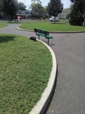 Farnham Park