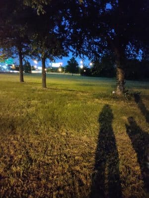 Farnham Park