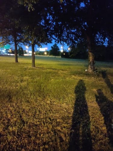 Farnham Park