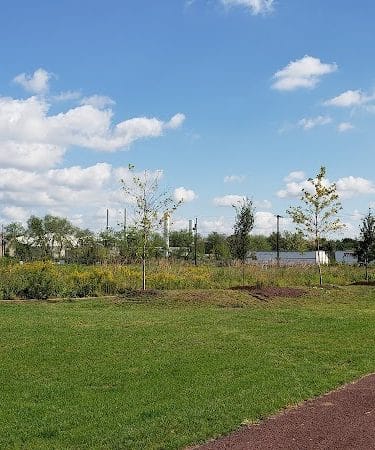 Phoenix Park