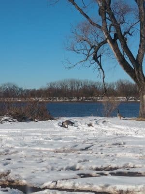 Pyne Poynt Park