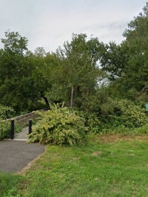 Von Nieda Park/ Baldwin's Run Stream