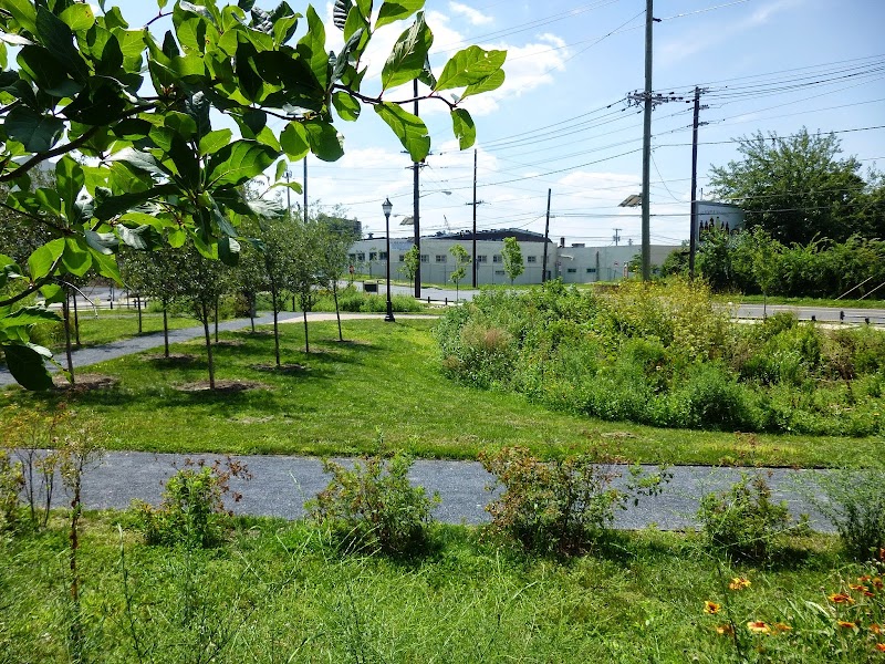 Waterfront South Raingardens - Camden, NJ
