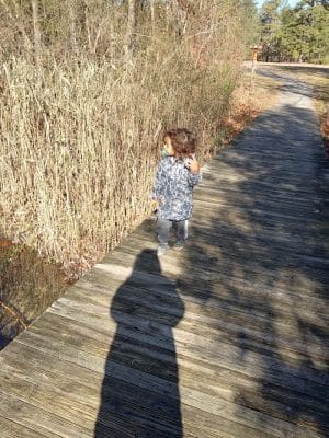 Waterfront South Raingardens