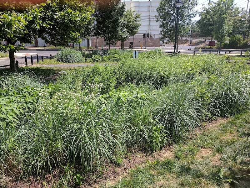 Waterfront South Raingardens - Camden, NJ