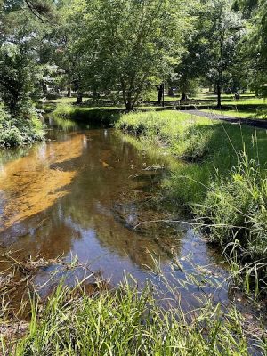 Kendall Park