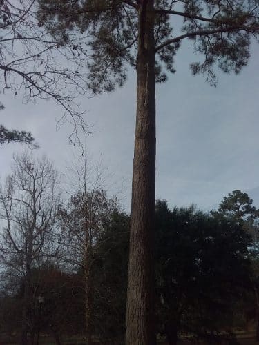 Kendall Park