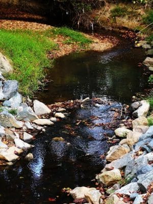 Henson Creek Park