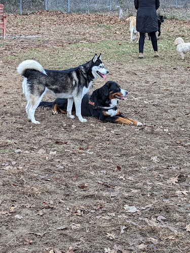 Canadian Lakes Dog Park