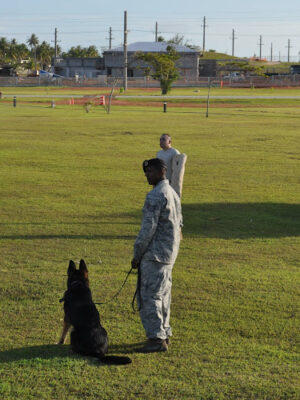 Canine Dominion, Inc