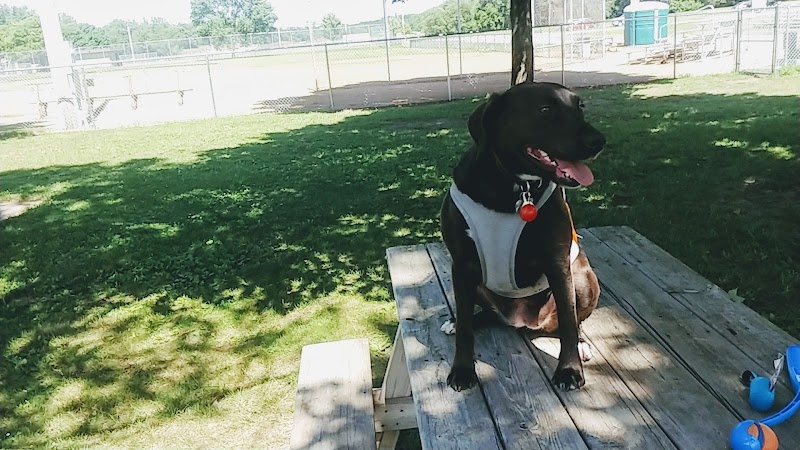 Cannon Falls Dog Park - Cannon Falls, MN