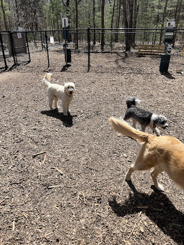 Friends of Canton Dog Park