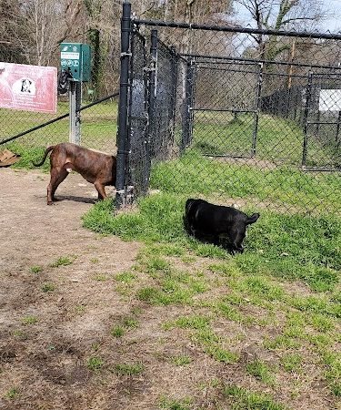 Canton Paw Park - Canton, GA