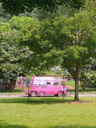 Canton Paw Park - Canton, GA