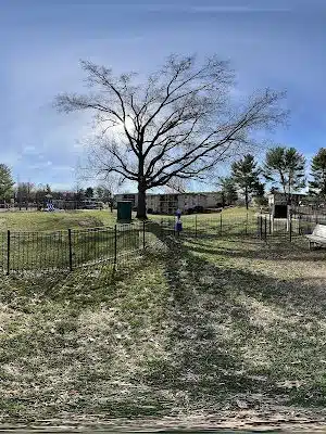 Woods at Addison Dog Park