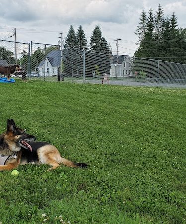 Sincock Dog Park