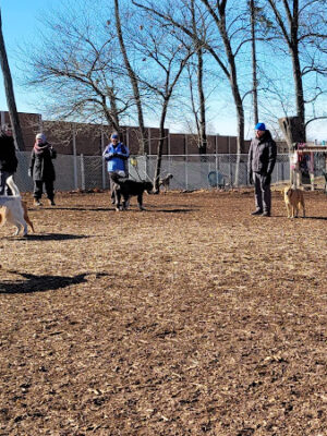 Carlisle Area Dog Parks (Members only)