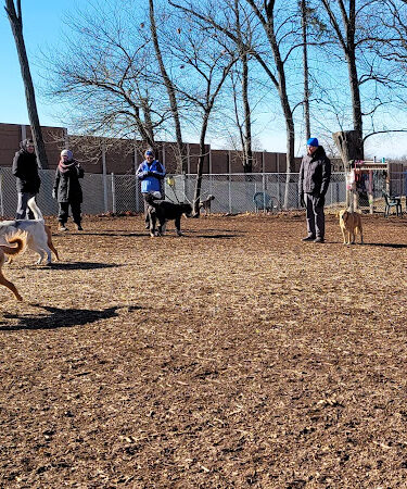 Carlisle Area Dog Parks (Members only)
