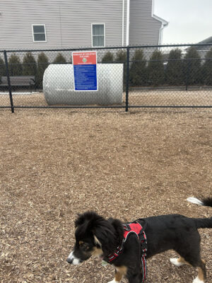 Carlstadt Dog Park