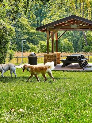 Central Dog Park