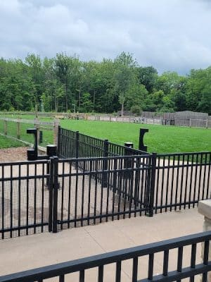 Central Dog Park