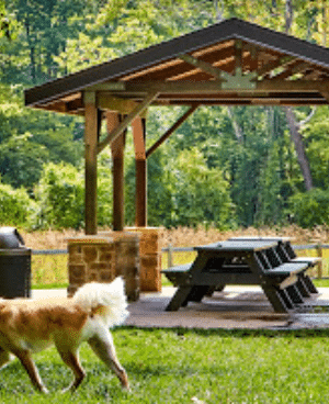 Central Dog Park