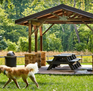 Central Dog Park