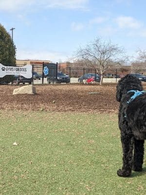 Dog Park at Clay Terrace