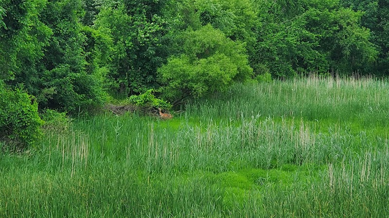 Chippewa Landing City Park - Caro,