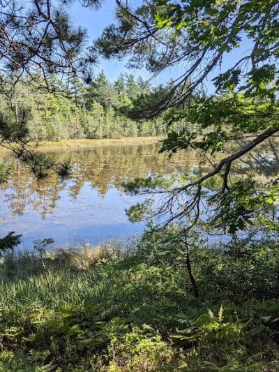Wilderness State Park - Carp Lake,