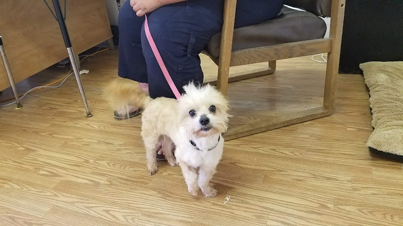 Sanilac County Humane Society - Carsonville, MI