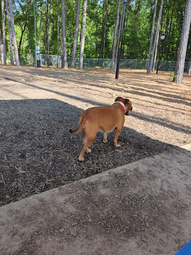 Carpenter Dog Park