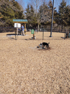 Cary Dog Park at Godbold Park (pass required)